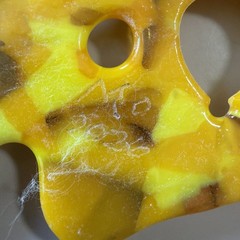 Fused Glass Handmade Round Brilliant Yellow Sun Catcher Signed By Artist