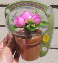 SOLAR POWERED DANCING ROSE BOUQUET / EACH ONE SOLD SEPARATELY