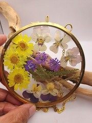 Wall Art, sun catcher, Dried Pressed Flowers in 4 inch dia Glass frame circle,