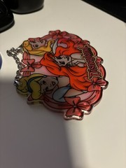 Disney Princesses Stained Glass Suncatcher Disneyland Ariel, Cinderella, Aurora