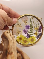 Wall Art, sun catcher, Dried Pressed Flowers in 4 inch dia Glass frame circle,