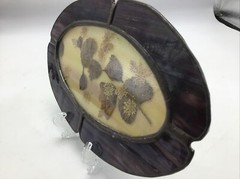 Suncatcher Slag Glass Dried Pressed Flowers Oval Frame Vtg 1970’s Signed Temme