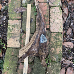 Handmade Driftwood & Resin Suncatcher Coastal Boho Hanging Garden Art 19X7″