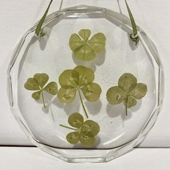 Lucky Four 4 Leaf Clover Window Hanging Sun Catcher w/ Ribbon & Hook Shamrock
