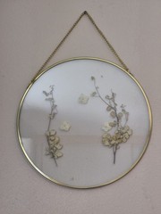 Gold Circular Framed Glass Dried Flowers Wall Decor