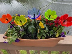 Suncatcher Tulip Set of (3) 4″ x 2½” Solar Neon Fluorescent Red,Yellow, Green