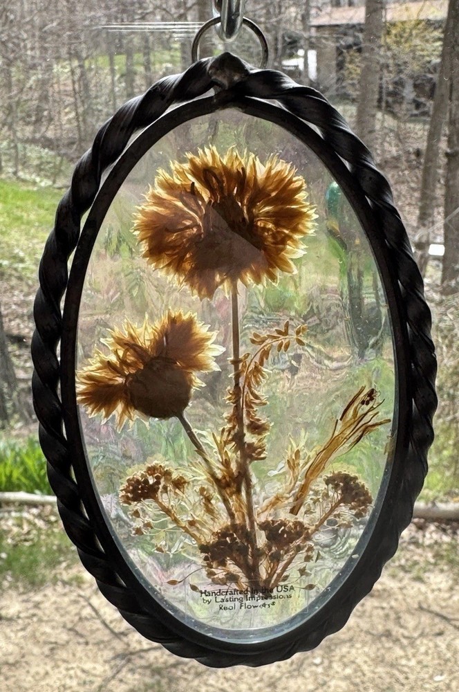Vtg Pressed Dried Flower Sun catcher Iridescent Glass Pewter Frame 6”
