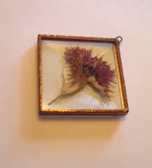 Sun Catcher Pressed Dried Flower Beveled Glass 2″ Square Copper
