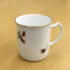 Royal Warrant Holder Daikura Touen Made in Japan Rose Fruit Pair Mu From Japan