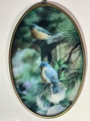 Hanging Oval Glass Sun Catcher Blue Bird Bluebirds Birdhouse 4.75”