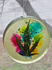 Cannabis Leaf Resin Suncatcher 4″ Window Hanging Handmade Art 🌿☀️
