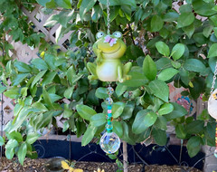 Crystal Sun Catcher, Resin Frog, Rainbow Maker, Chandelier Prisms