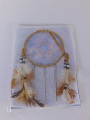 Multicolor Feather Dream Catcher Small Boho Wall Hanging Wind Chime Decor