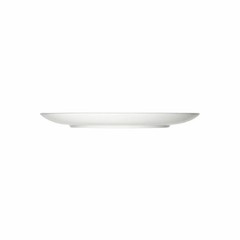 Noritake tableware My Neighbor Totoro 23cm plate Noritake dish (Day From Japan