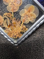 VTG Lasting Impressions Stained Glass Suncatcher Pressed Real Flowers 5×5 Inches