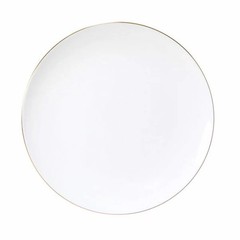 Gold Line (Coupe Shape) 23cm meat plate perfect as a gift for a sp From Japan