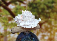 Hanging Nautical Garland Clear Glass Float Shells (1 Garland approx. 18 x 5 in)