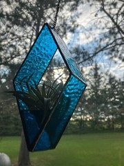 Handmade Stained Glass Air Plant Holders (air plant included)