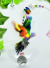 Rainbow Lorikeet Crystal Suncatcher gift, Magpie Galah sun catcher suncatchers