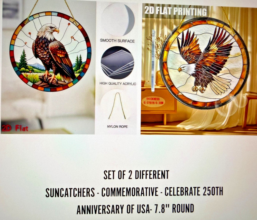 SET OF 2 -2D Flat Acrylic American Eagle Hanging 7.8″ Round with Hangers