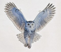 New Suncatcher Owl 8″ x 7″ Bird Combined Shipping Gift Combined Shipping