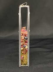 Vintage dried flower shadow box Sun catcher in glass/iron hand crafted in Poland