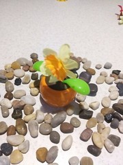 New !! Solar Powered Dancing Flower with Pot Color random for gift kid toy new