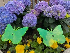 Suncatcher Acrylic Butterfly Set of (2) Yellow & Green 6” Wide x 4″ Tall x 24”