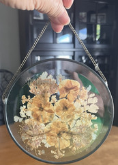 Gorgeous! Pressed Flower Beveled Stained Glass Suncatcher Round 6″ Diameter