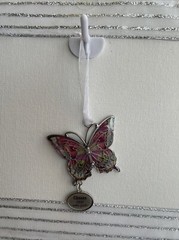 Inspirational Butterfly “Choose Your Own Path” Inspiring Hang Anywhere Positive