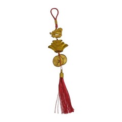 Feng Shui 2025 Horse Chinese gold Coins Money health Prosperity Good Luck Charm