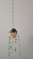 Suncatcher Beaded String Of Pearls