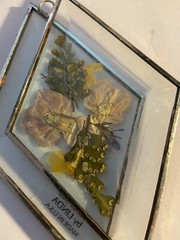Double Diamond Glass Light catcher by Linda Hangs & dried flowers in purple yell