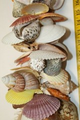 Outdoor Patio Porch Seashell Decor Mobile Christmas Gift, Handmade, Sea Beauty