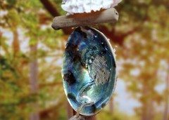 Hanging Nautical Garland Clear Glass Float Shells (1 Garland approx. 18 x 5 in)