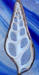 Nautical Blue Swirl Glass &Beach Seashell Hanging 10.5″ X 8″ Oval Suncatcher EUC