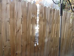 Handmade Suncatcher with White & Blue Beads & Clear Butterfly Crystals 12″ Long
