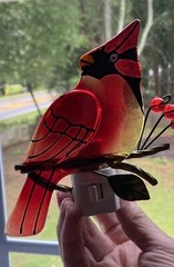 Stained Glass Cardinal Bird Nightlight 6.5” Long X 4” Wide Bulb Not Included