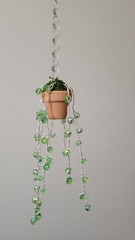 Suncatcher Beaded String Of Pearls