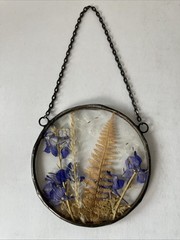 Round Glass Botanical SUNCATCHER Pressed Floating Purple Flower 3.5” Frame Chain