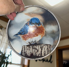 3 Vintage Sun Catchers-Stained Glass: Blue Birds, Song Birds