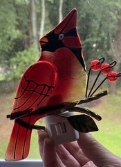 Stained Glass Cardinal Bird Nightlight 6.5” Long X 4” Wide Bulb Not Included