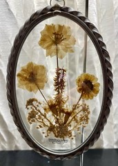 Lasting Impression Pressed Flower Sun Catcher,dried Flowers, Glass, 6.5 Inches