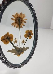 VTG Pressed Flower Suncatcher Beveled Glass Dried Oval Leaded 6×3″ Rope Metal