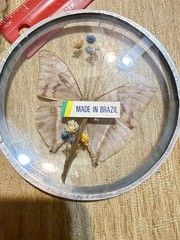 Window Reflecting Butterfly 4 1/2 “Suncatcher Beautiful Iridescent