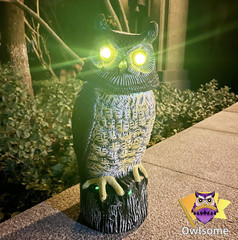 Solar Owl with Glowing Eyes, Rotating Head, Hoot Sound, Motion Detector and Sile